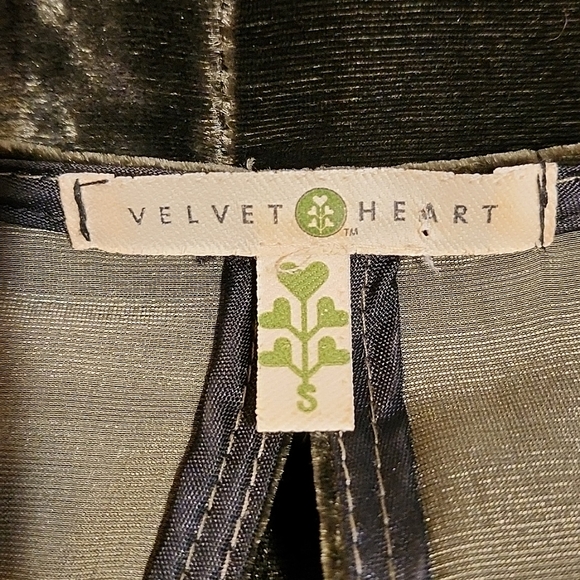 Velvet Heart Small Dark Olive Green Velvet Dress - Picture 10 of 12